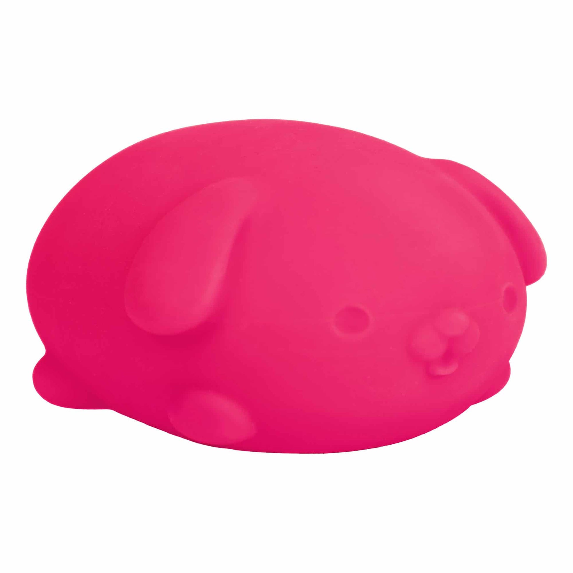 Adorable Character NeeDoh Funky Pup | Collection Canyon Shore - Collectible Shaggy Monster Squishable Toy Detail