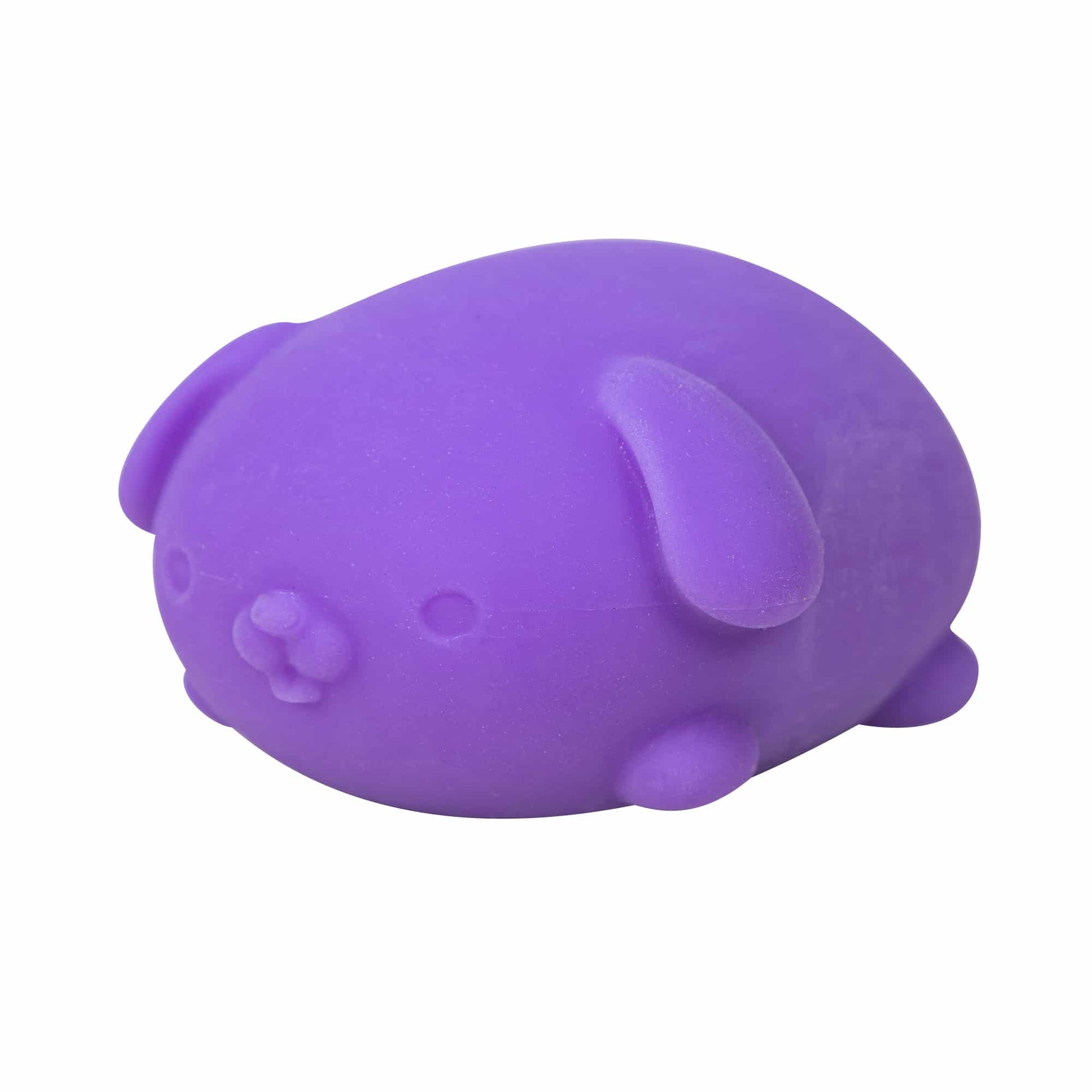 Adorable Character NeeDoh Funky Pup | Collection Canyon Shore - Collectible Shaggy Monster Squishable Toy Detail